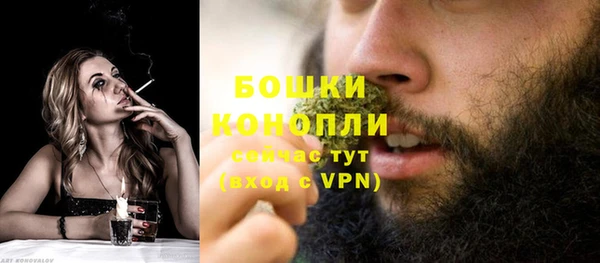дурь Белокуриха