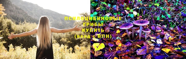 дурь Белокуриха