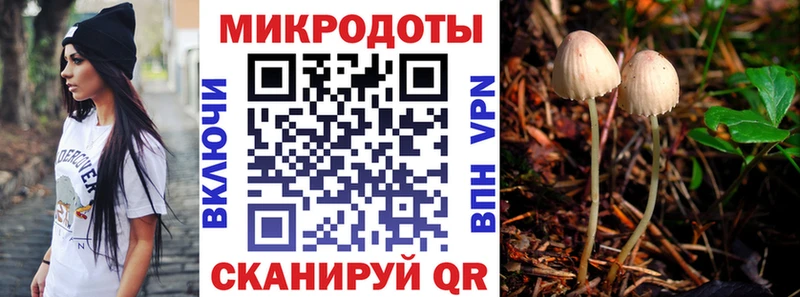 OMG ссылки  Бутурлиновка  Псилоцибиновые грибы GOLDEN TEACHER 